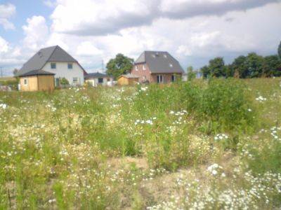 Verkauf mehrerer Baugrundstücke für EFH in Neuenhagen b. Berlin